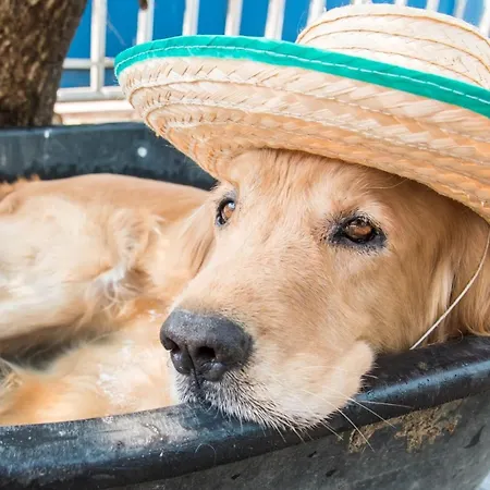 度假居 Seeblick -